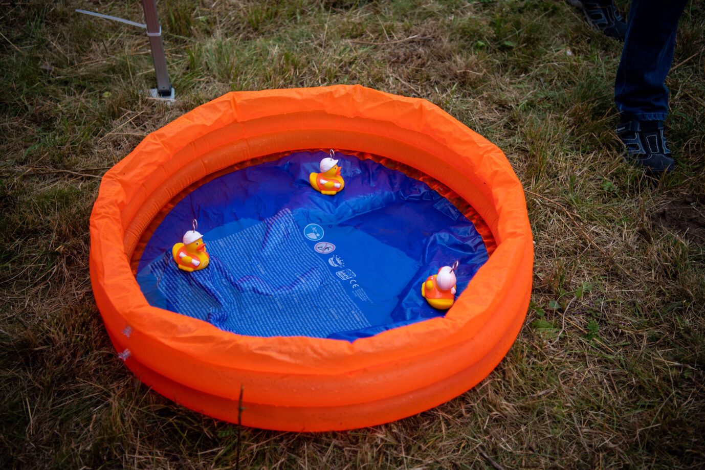 München zwingt Bürger mit saftigen Bußgeldern zum Wassersparen