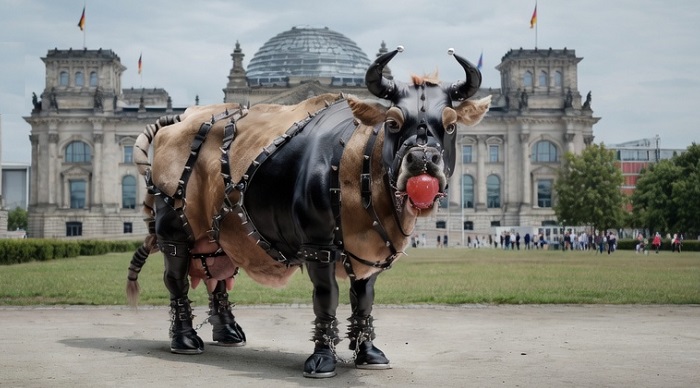 Die Stunde der politischen Sadomasos